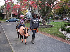 Pony Rides