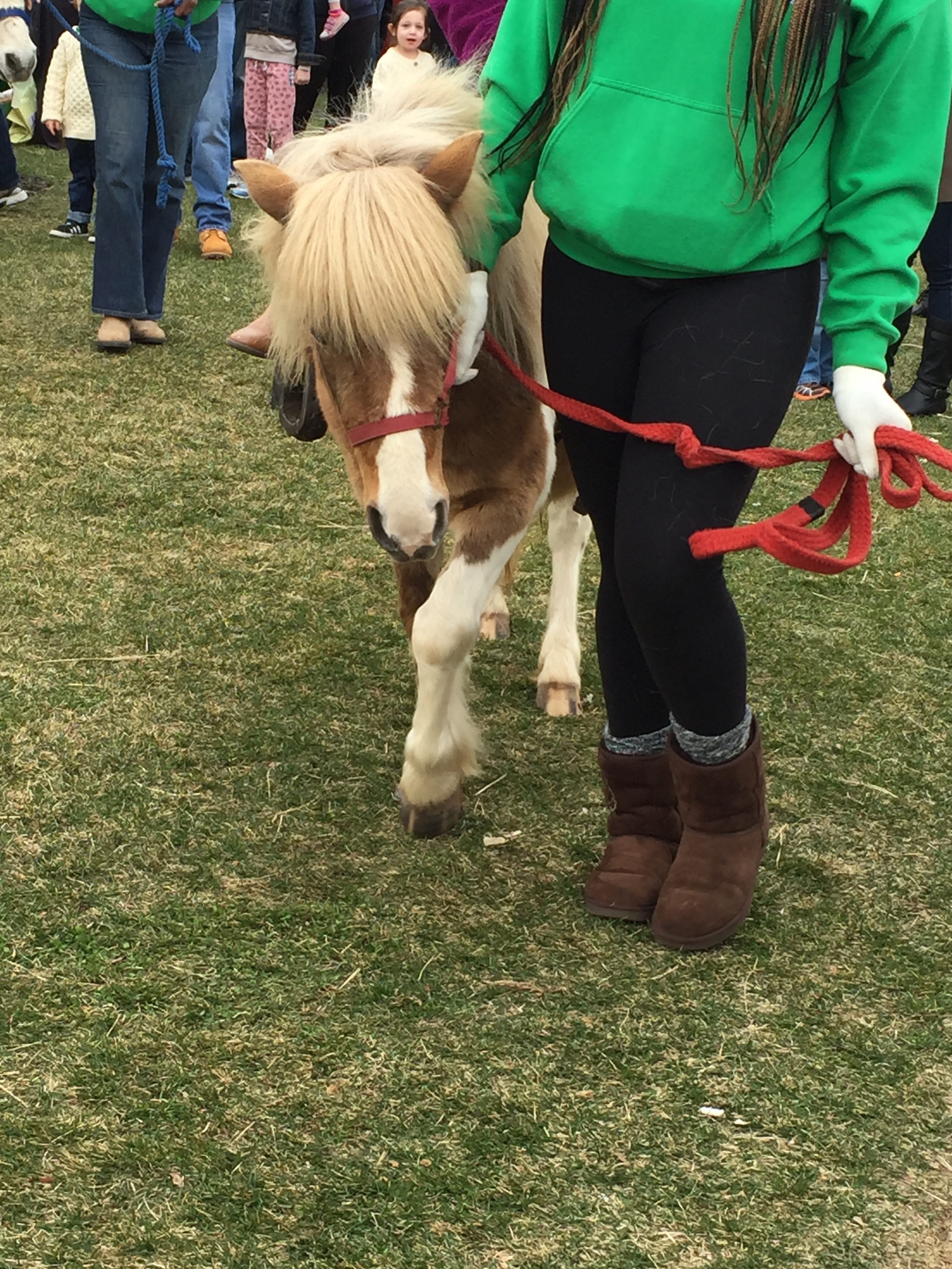 St. Patrick's Day festival pony rides with Bubba