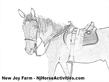 Sample coloring page of a horse already saddled